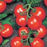 Томат Ричи F1 за 10 сем.