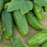 Огурец Изид F1 за 0,5 г