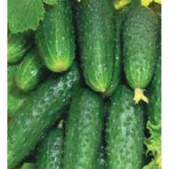 Огурец Лялюк за 1 г