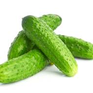 Огурец Полан (Польша) F1 за 0,5 г