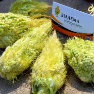 Кукурудза цукрова Діадема