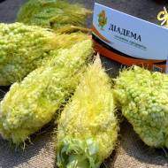 Кукурудза цукрова Діадема