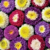 Айстра суміш Супреме за 0,3 г