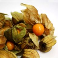 Физалис земляничный Жаринка за 0,1 г