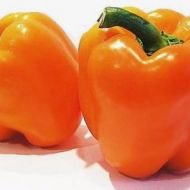 Перец сладкий Оранжевое чудо за 0,3 г