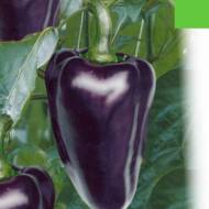 Перец сладкий Черный кардинал за 0,3 г