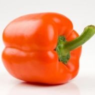 Перец Гурме за 0,25 г