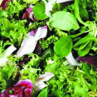 Салатный калейдоскоп