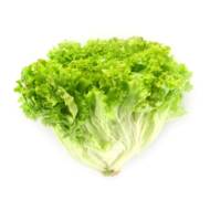 Салат Лолло Бионда за 0,5 г