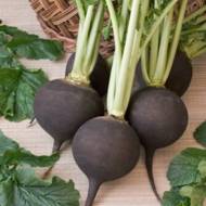 Редька Сквирская черная за 20 г