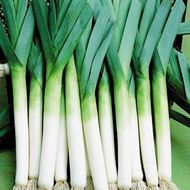 Лук Порей за 1 г