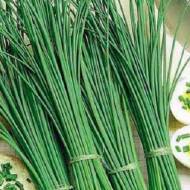 Шнитт-лук Ласточка (Лук скорода) за 0,5 г