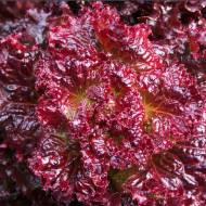 Салат Вишиванка за 1 г