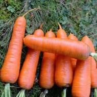 Морква Бабусині смаколики за 20 г