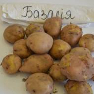 Насіннєва картопля Базалія