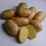Насіннєва картопля Гала