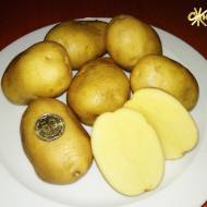 Насіннєва картопля Джелі