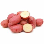 Насіннєва картопля Рудольф