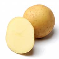 Насіннєва картопля Медісон