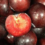 Саженец Слива диплоидная Крымсон Гло