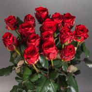 Роза чайно-гибридная Маричка