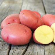 Семенной картофель Эволюшн