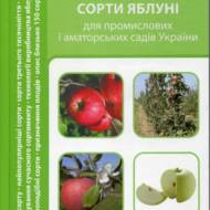 Сорти яблуні для промислових і аматорських садів України