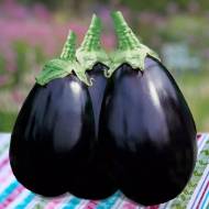 Баклажан Перфекшен F1 за 8 сем.