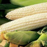 Кукуруза сахарная Андреевская F1