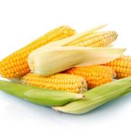 Кукуруза сахарная Юрмала