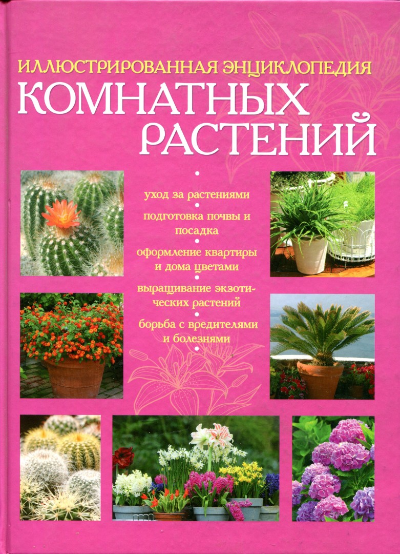 Иллюстрированная энцыклопедия комнатных растений
