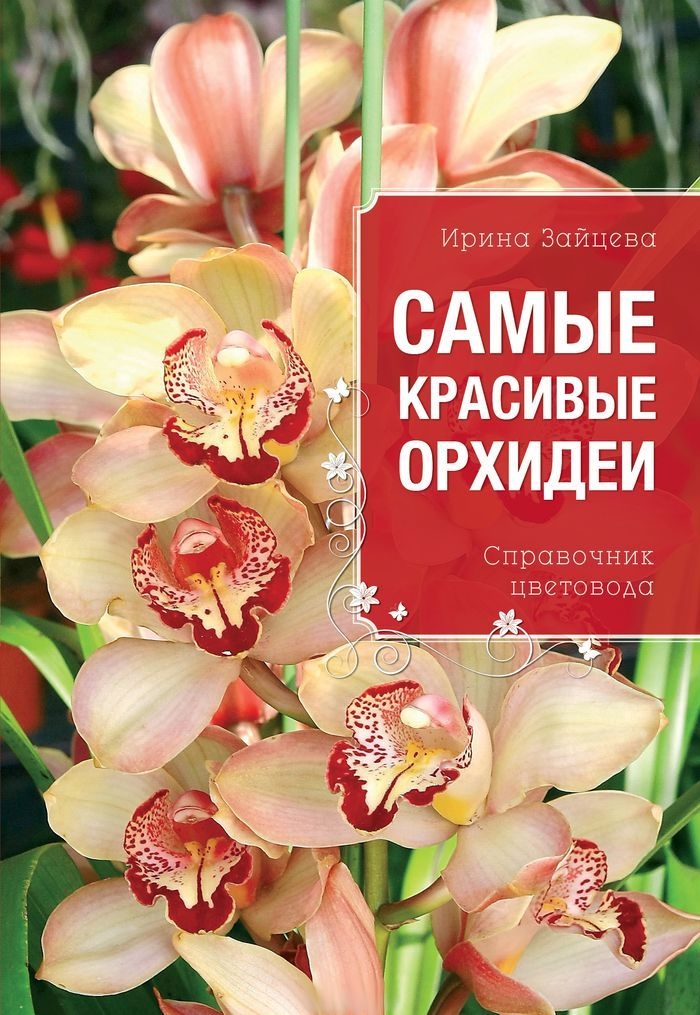 Найкрасивіші орхідеї (рос.мовою).