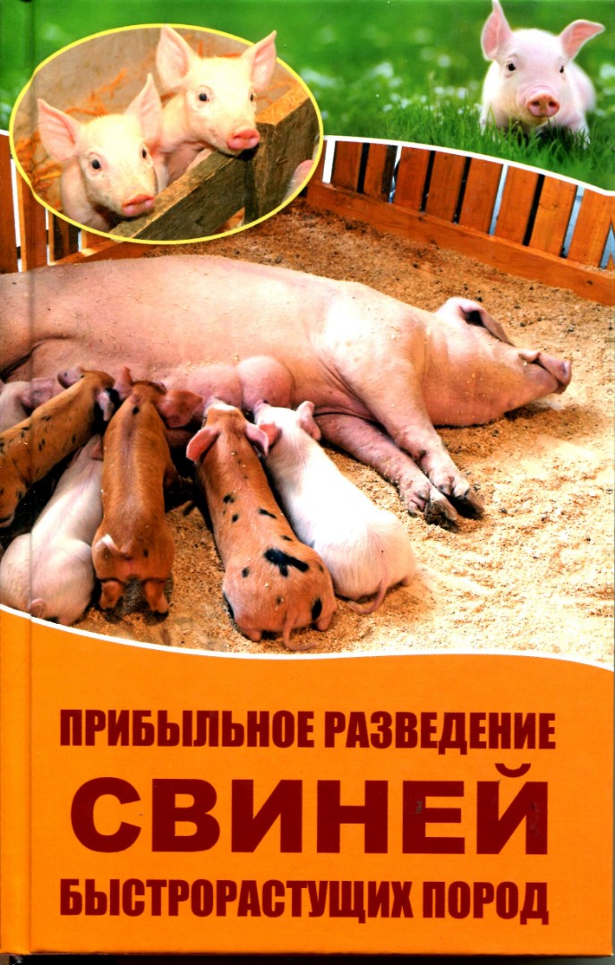 Прибуткове розведення свиней швидкозростаючих порід (рос.мовою).