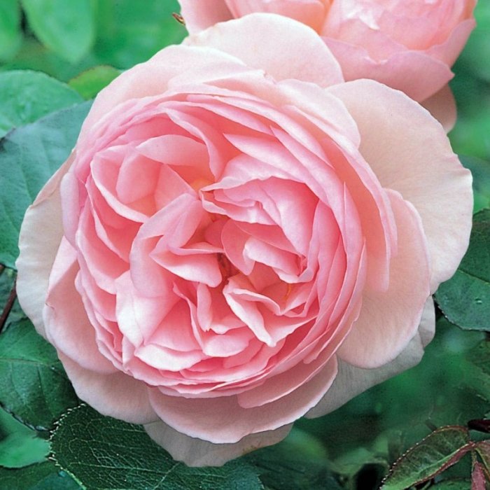 heritage.jpg1000800reduce_3