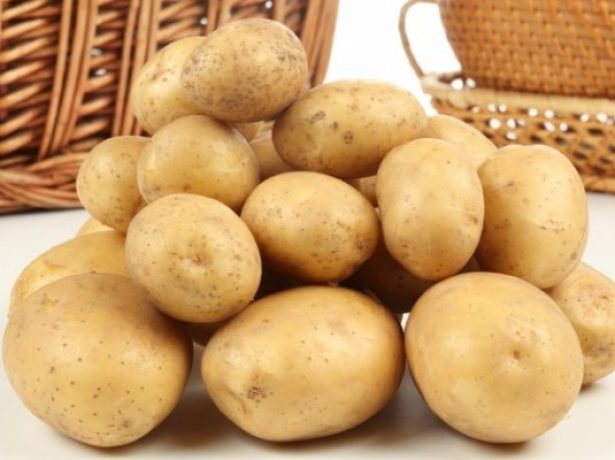 Семенной картофель Люсинда