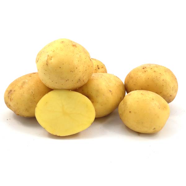 Семенной картофель Констанц