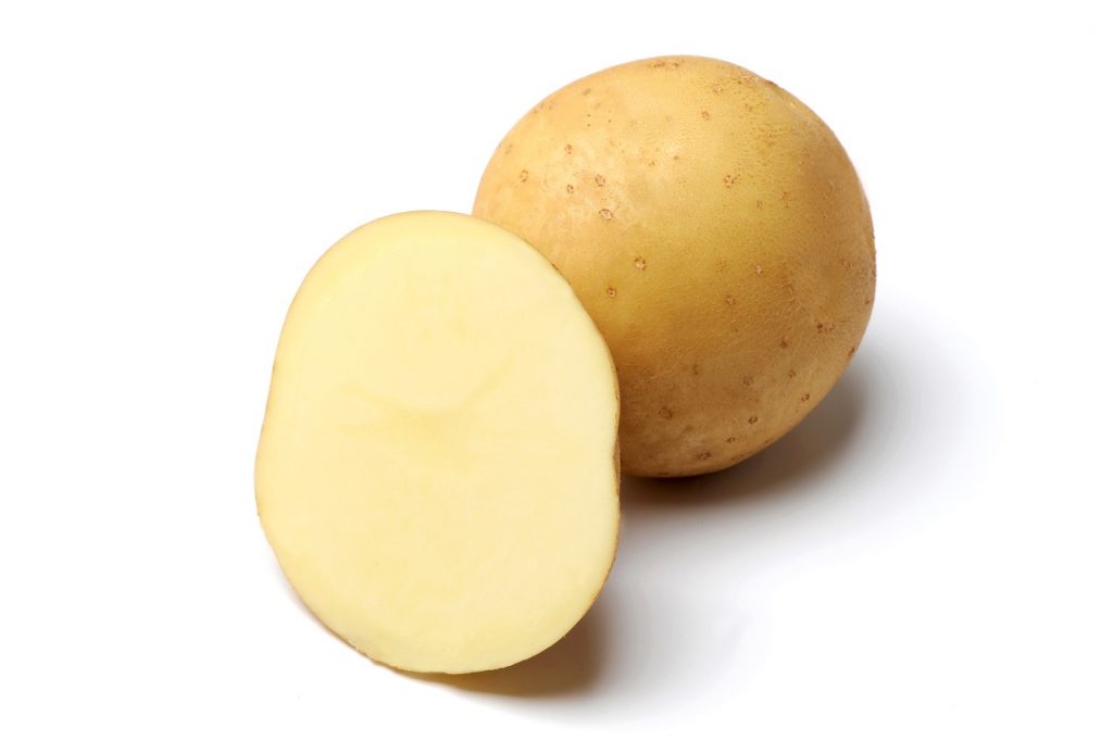 Семенной картофель Медисон