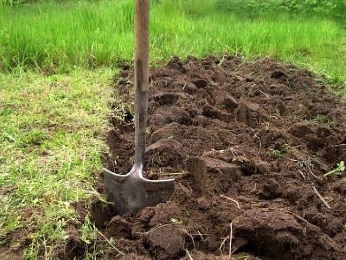 Захист та підготовка ґрунту перед посівом