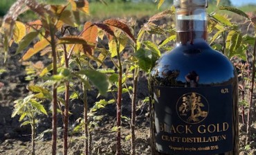 Розіграш 2 пляшок лікувального напою з чорного горіха