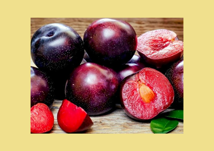 Абрикос пізньоквітучий Шарафуга червона