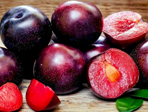 Абрикос сорта Шарафуга червона