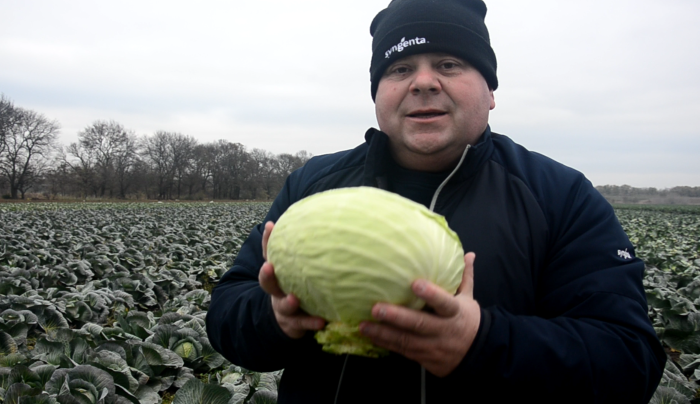 Вадим Бобруйко на полі суперврожайної капусти Агресор