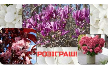 Розіграш королівських рослин для вашого саду!