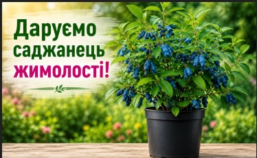 Приведіть друзів та отримайте саджанець суперсмачної жимолості у контейнері