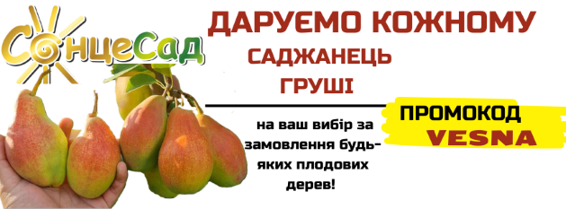 Даруємо саджанець груші у ПОДАРУНОК!