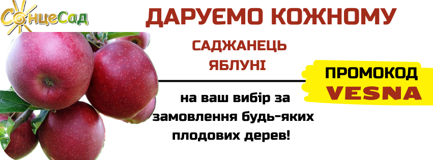 банер яблуні
