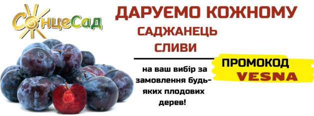 Даруємо саджанець сливи!