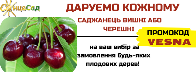ДАРУЄМО САДЖАНЕЦЬ ВИШНІ АБО ЧЕРЕШНІ!