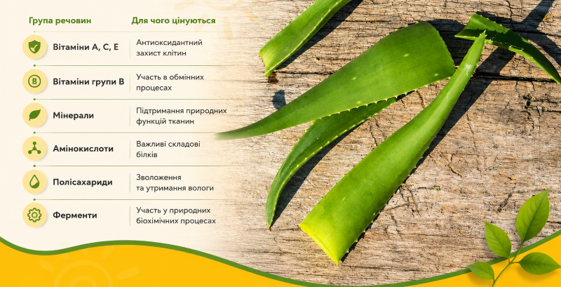 Основні компоненти соку алое