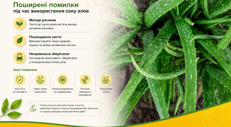 Поширені помилки під час використання соку алое